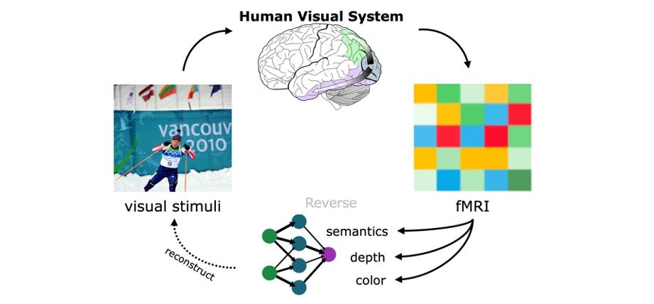 Brain Ai 2