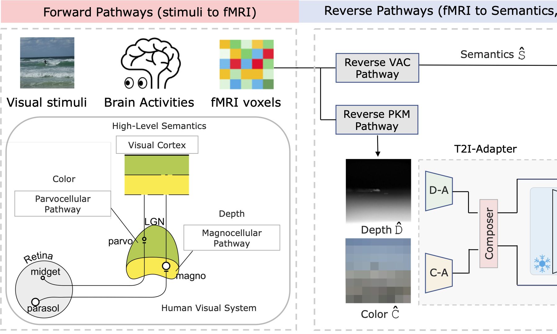 Visual Decoding Publications | Core Lab